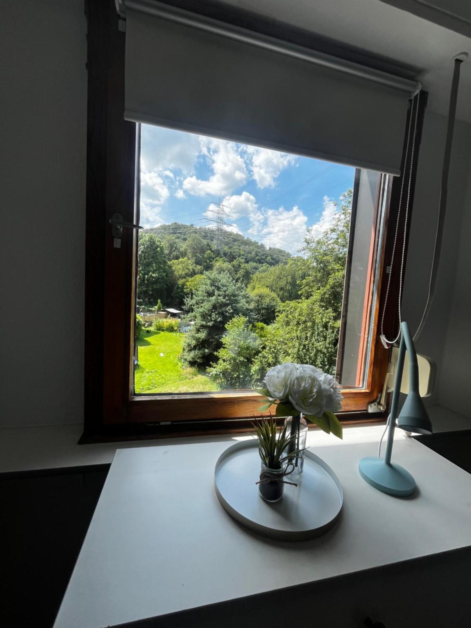 Idyllisch Wohnen An Der Ruhr Apartment Hattingen Luaran gambar